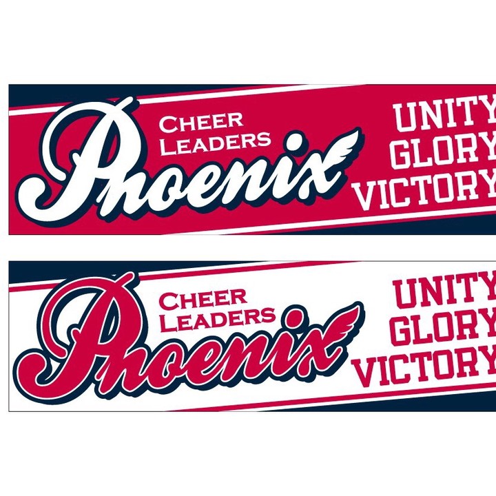 PHOENIX CHEERLEADERSpage-visual PHOENIX CHEERLEADERSビジュアル